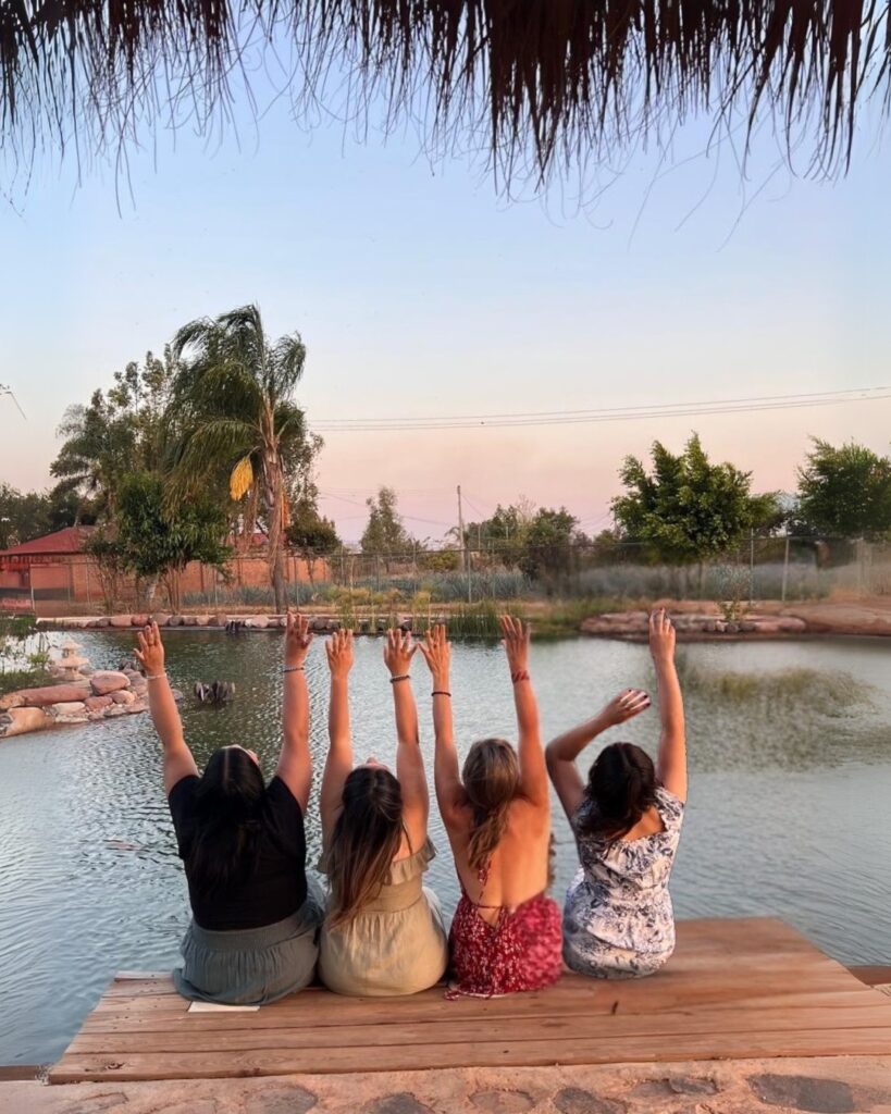 The programs featured image