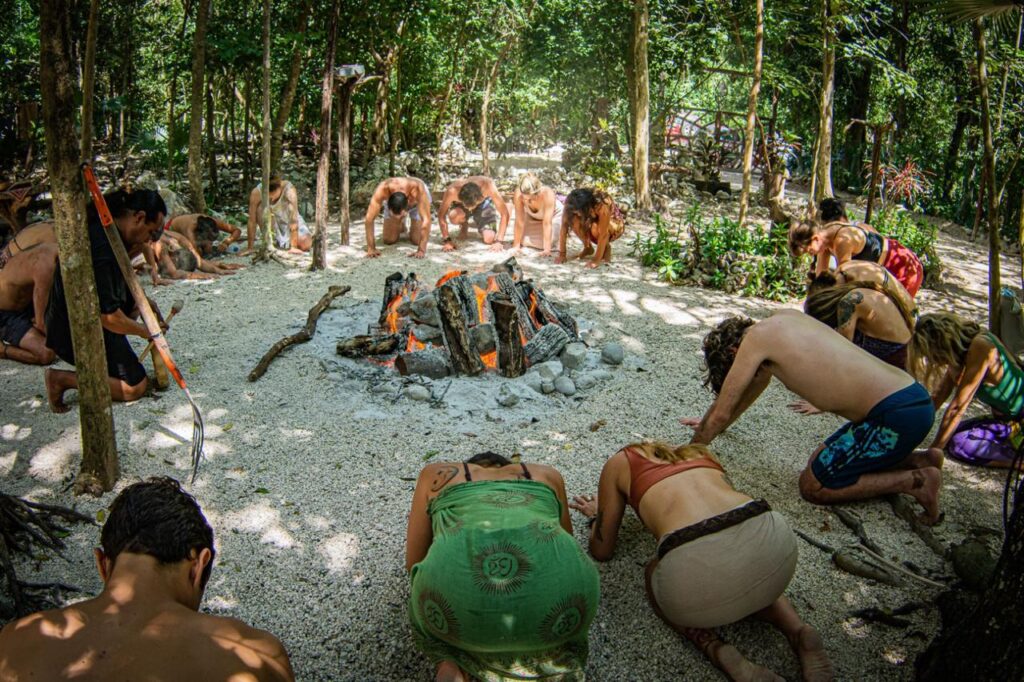 The programs featured image